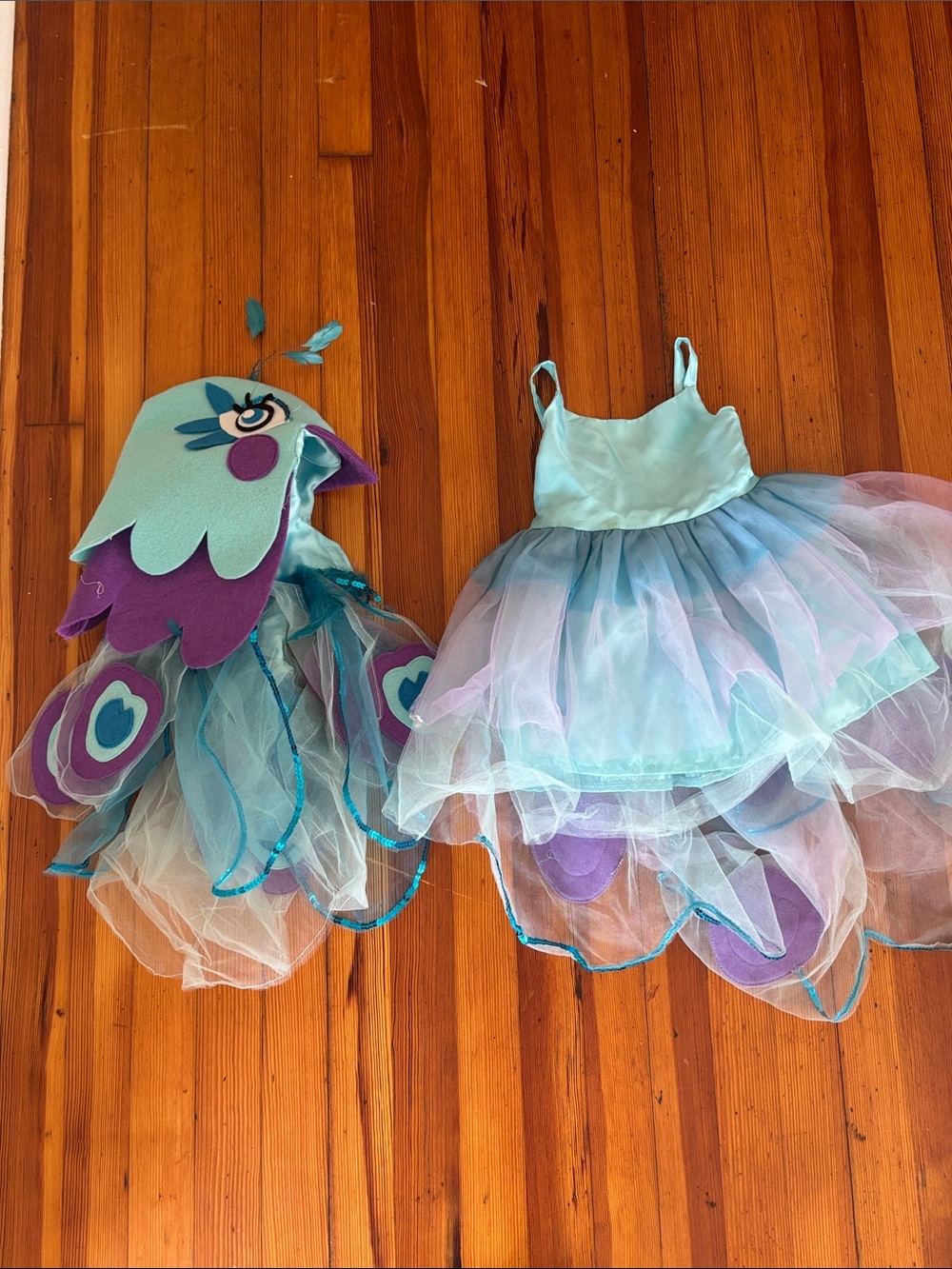 Pottery Barn Kids Teal and Purple Peacock Tutu Costume with Hood